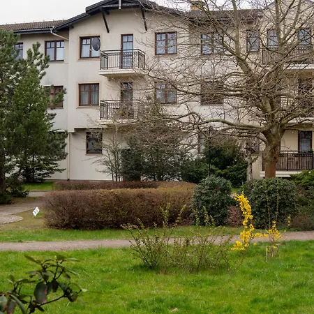 Classic Apartment